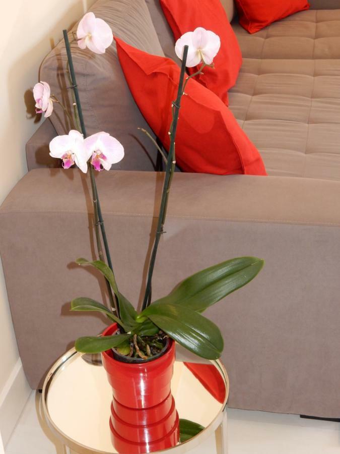 Beach & Sea Apt, Fast Wifi, Airco, Private Parking And Pool Portimão Esterno foto